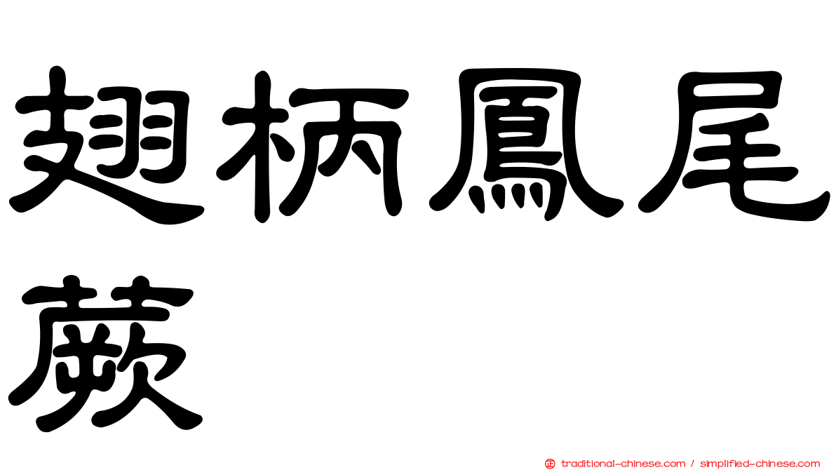 翅柄鳳尾蕨