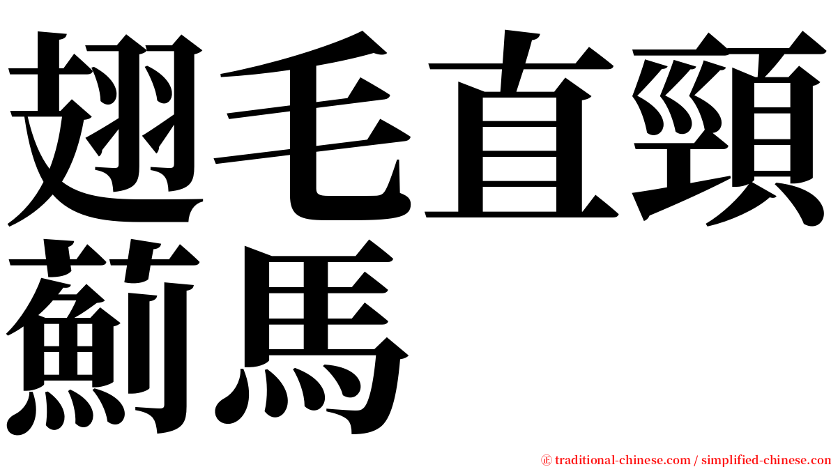 翅毛直頸薊馬 serif font