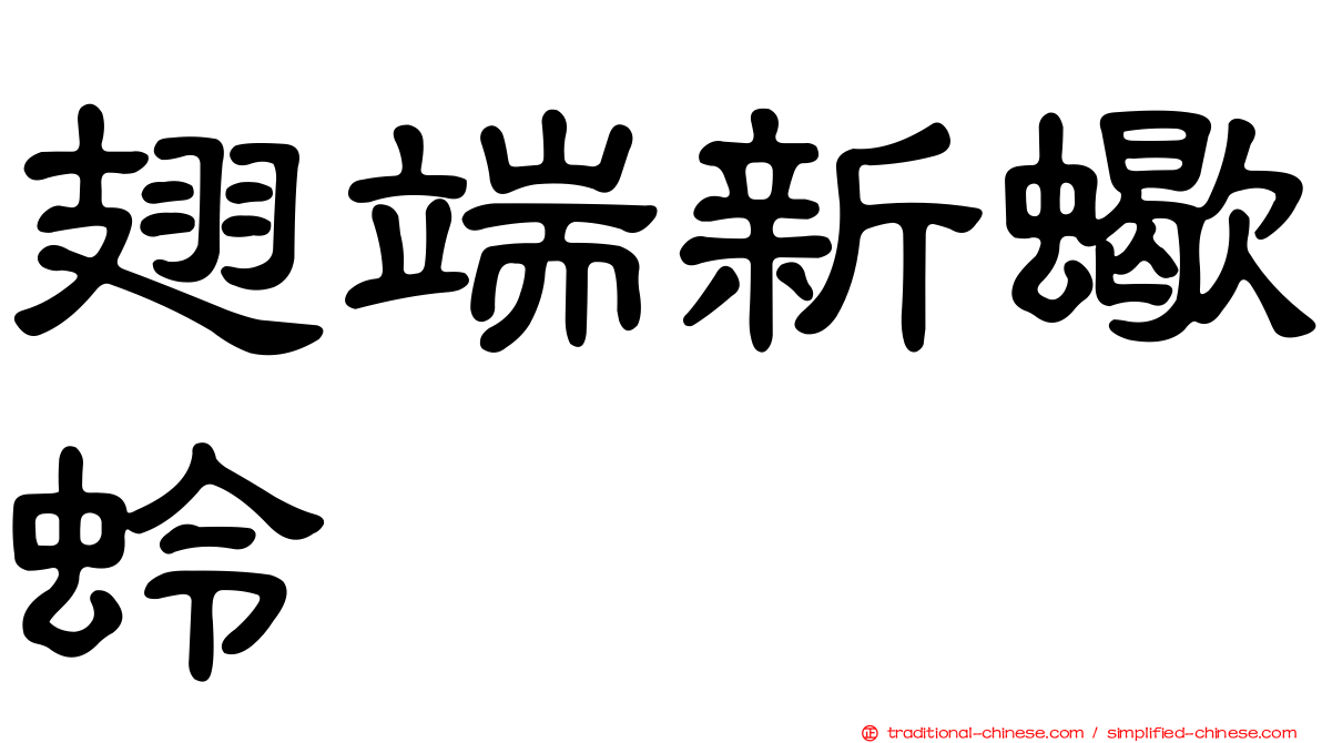 翅端新蠍蛉
