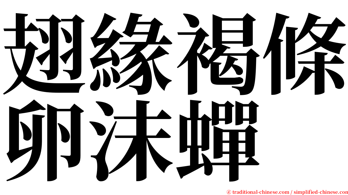 翅緣褐條卵沫蟬 serif font