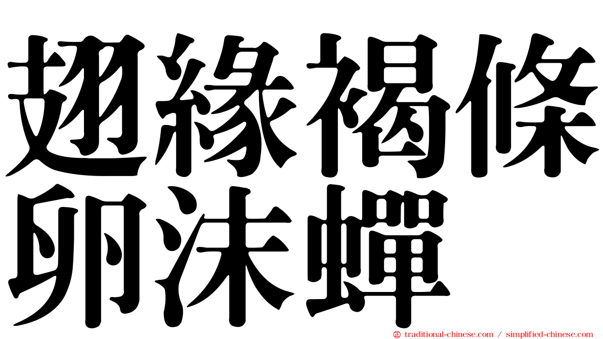 翅緣褐條卵沫蟬
