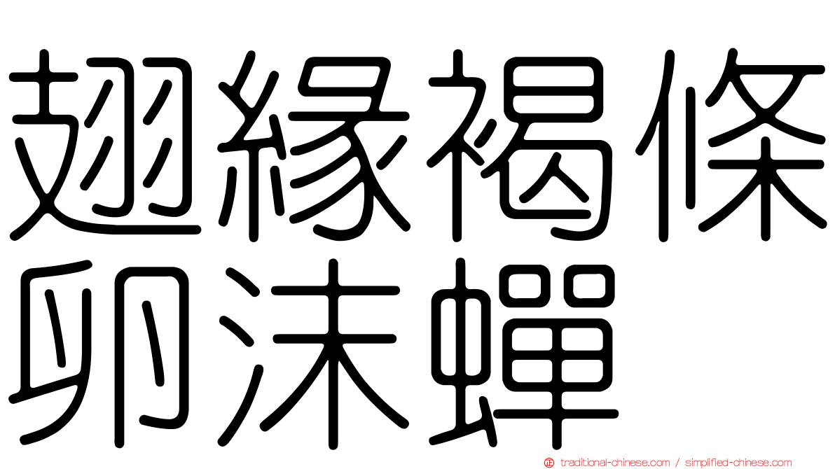 翅緣褐條卵沫蟬