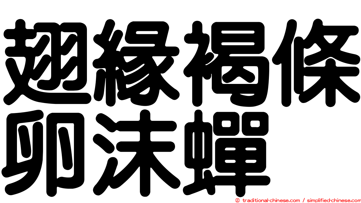 翅緣褐條卵沫蟬