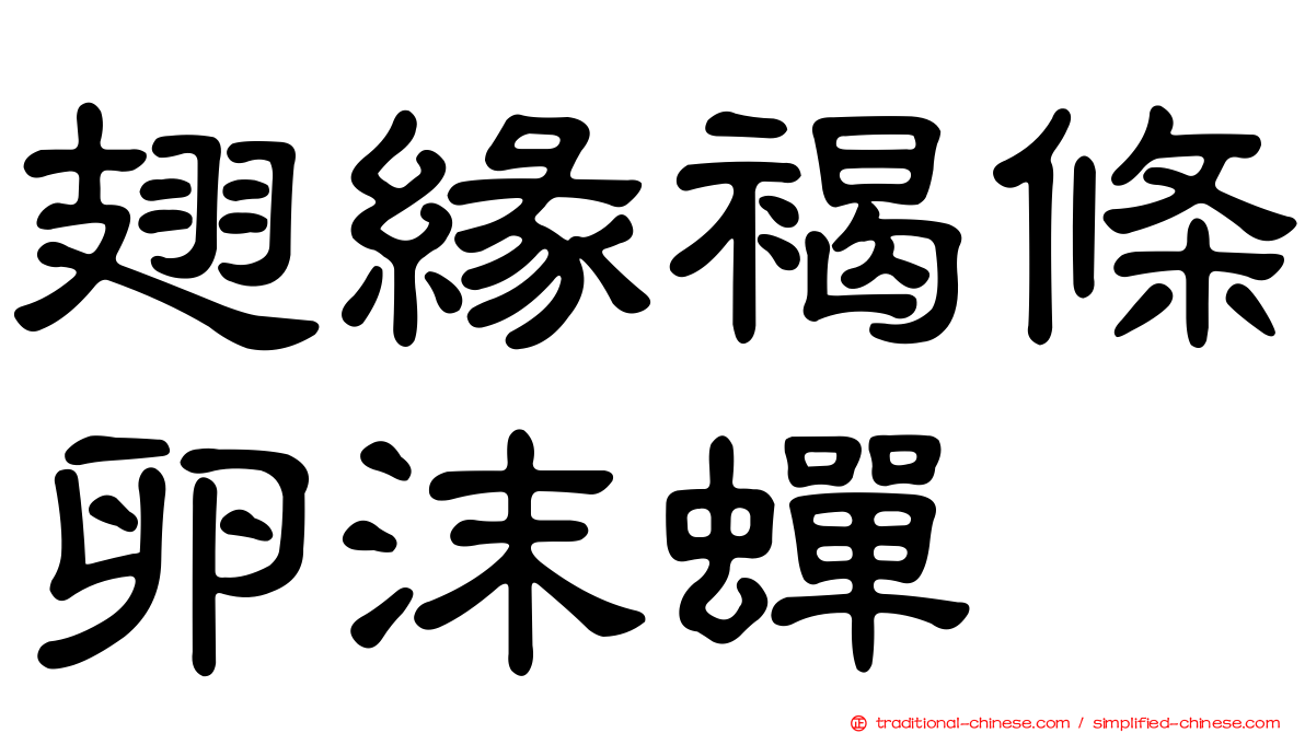 翅緣褐條卵沫蟬
