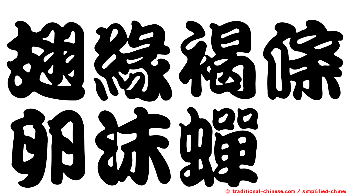 翅緣褐條卵沫蟬