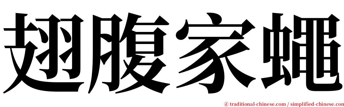 翅腹家蠅 serif font