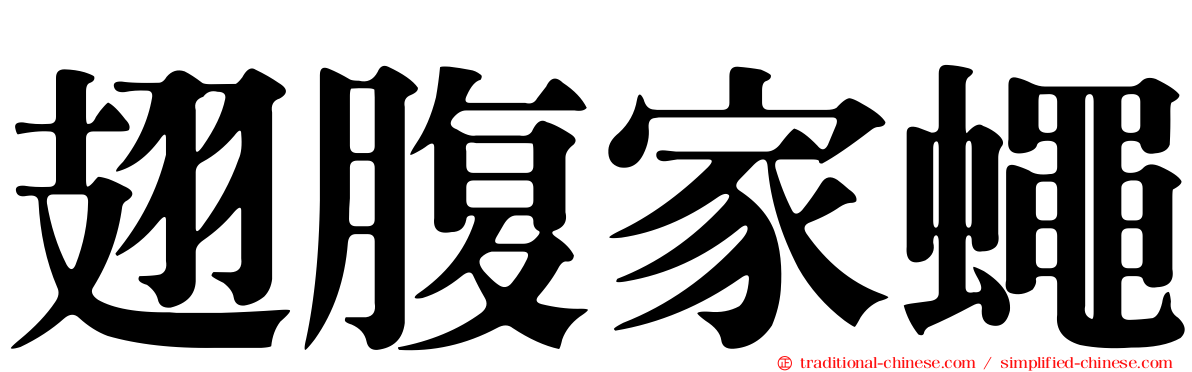 翅腹家蠅