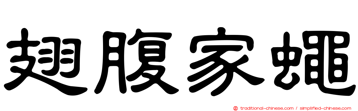 翅腹家蠅