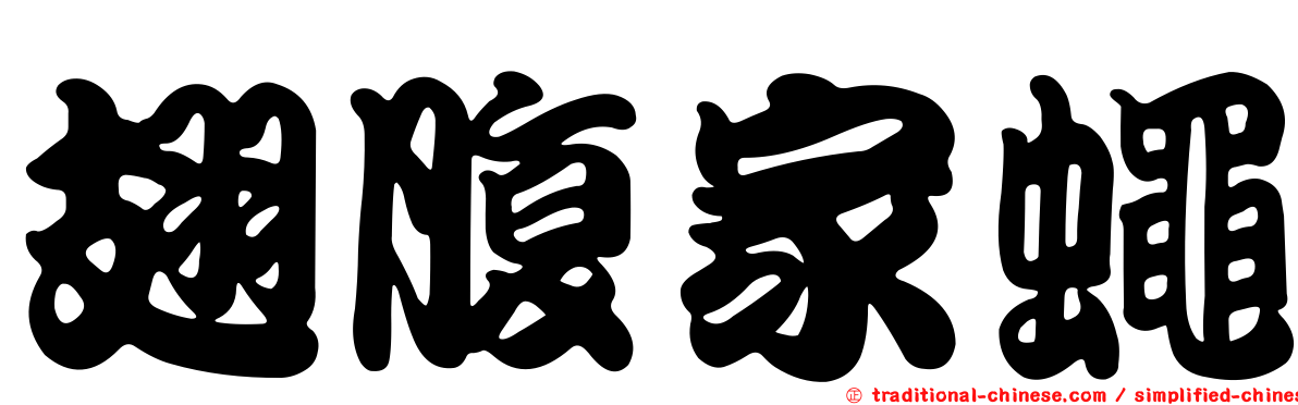 翅腹家蠅