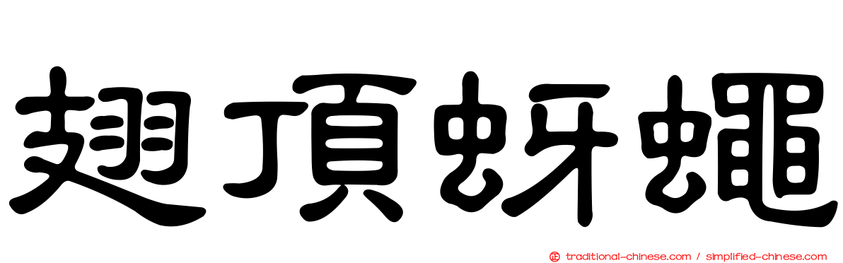 翅頂蚜蠅