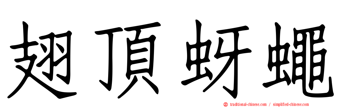 翅頂蚜蠅