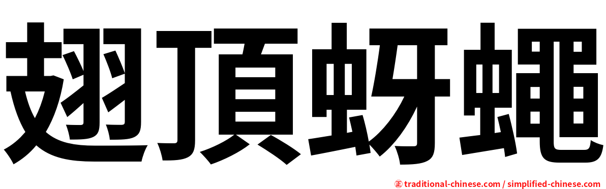 翅頂蚜蠅