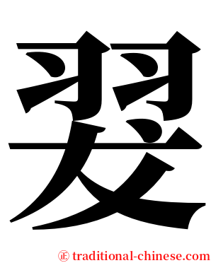 翇 serif font