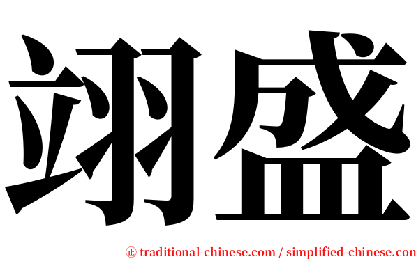 翊盛 serif font