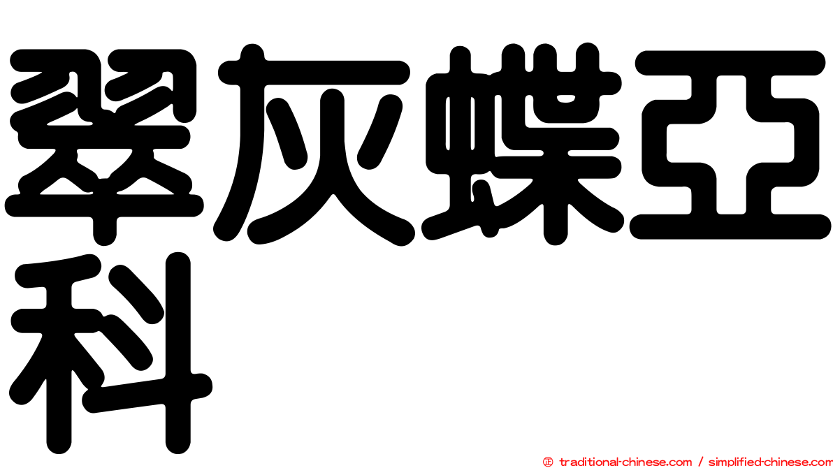 翠灰蝶亞科