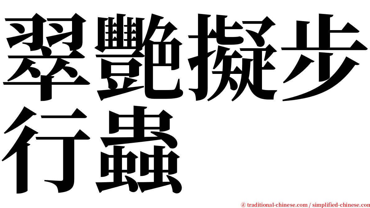 翠艷擬步行蟲 serif font