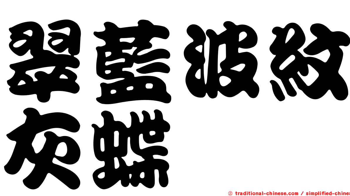 翠藍波紋灰蝶