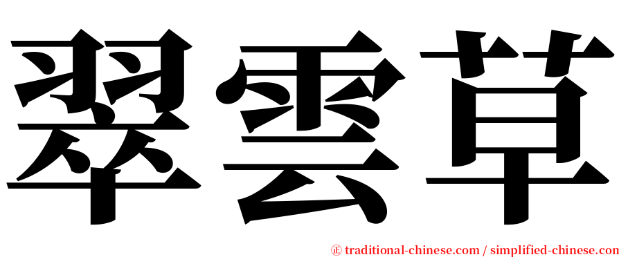 翠雲草 serif font