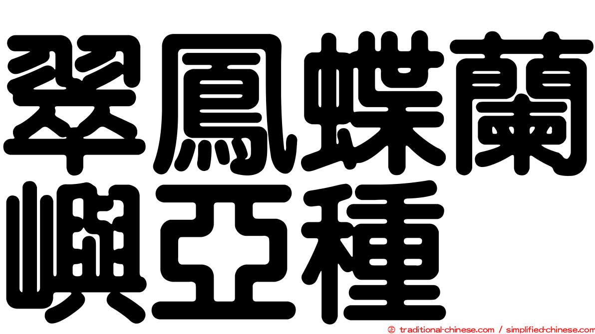 翠鳳蝶蘭嶼亞種