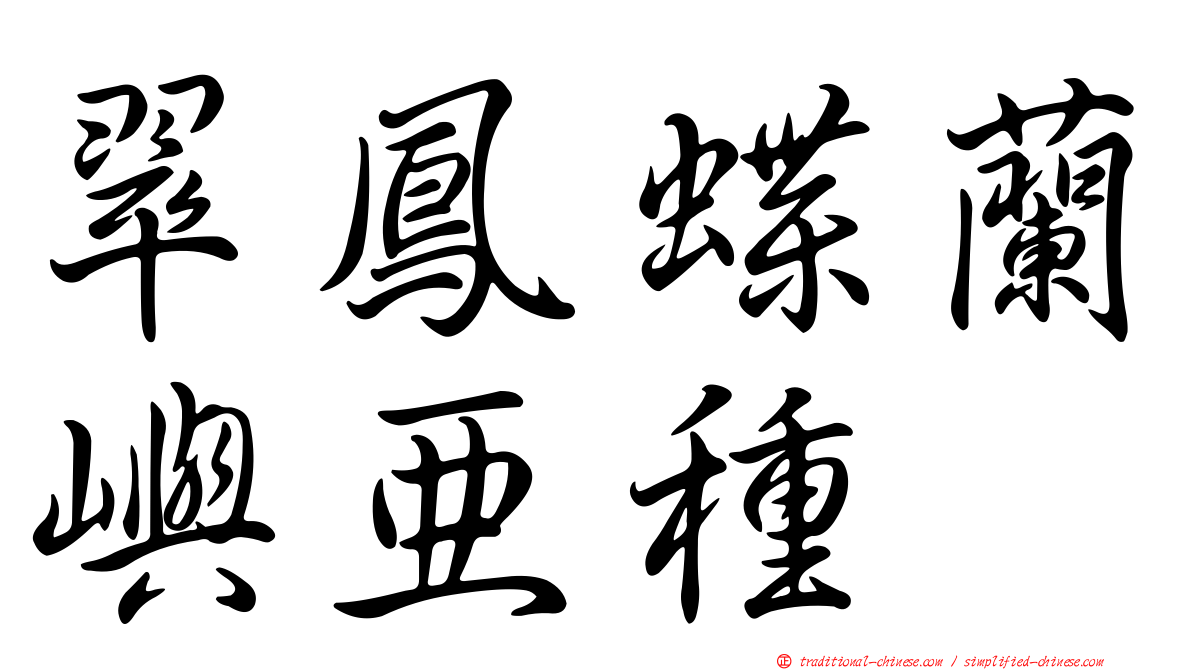 翠鳳蝶蘭嶼亞種