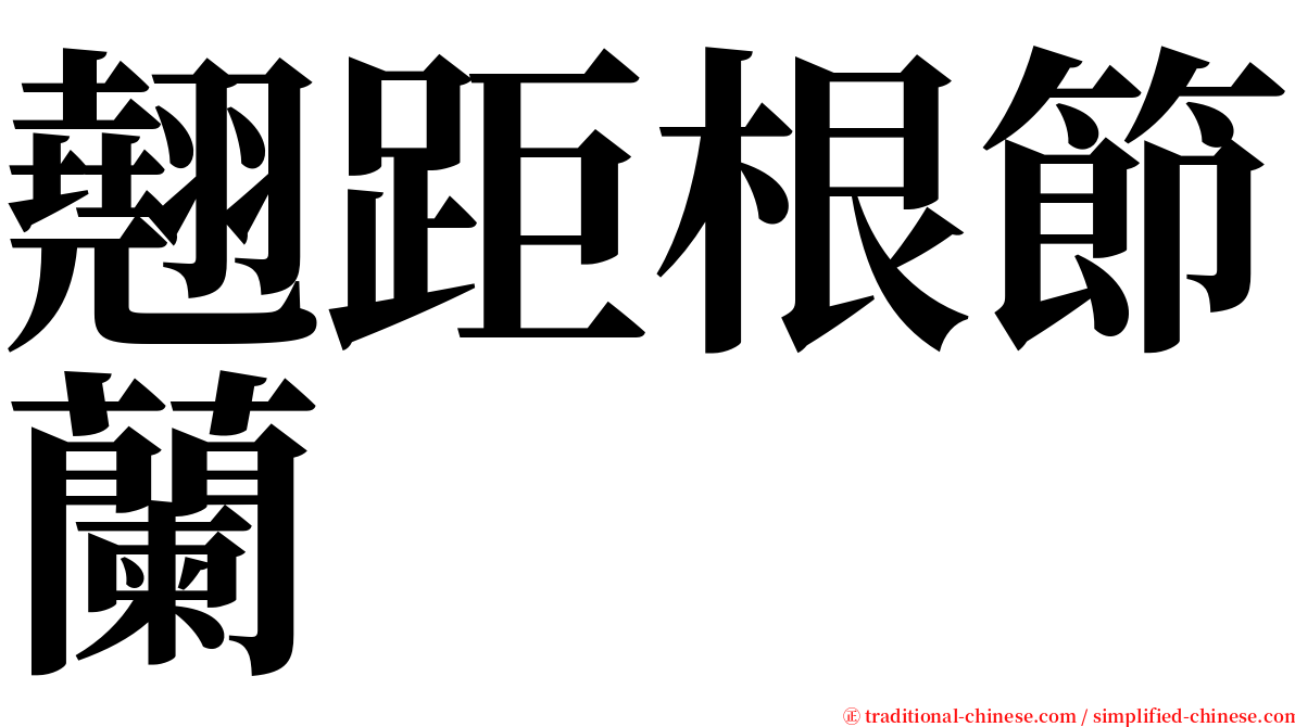 翹距根節蘭 serif font