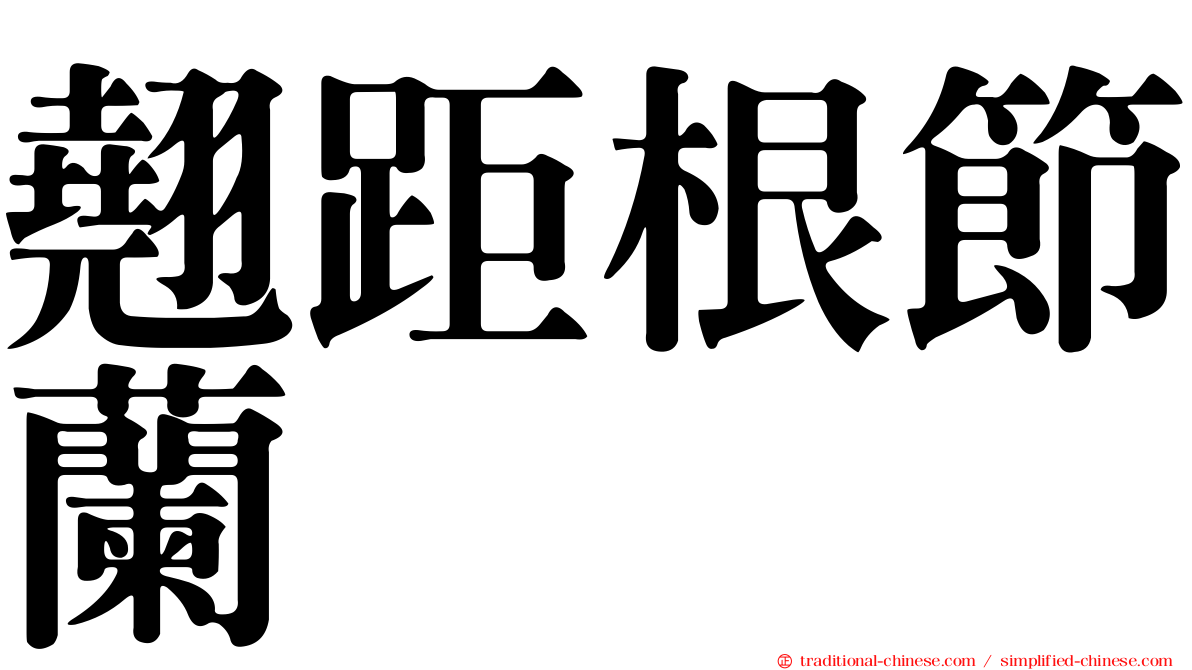 翹距根節蘭