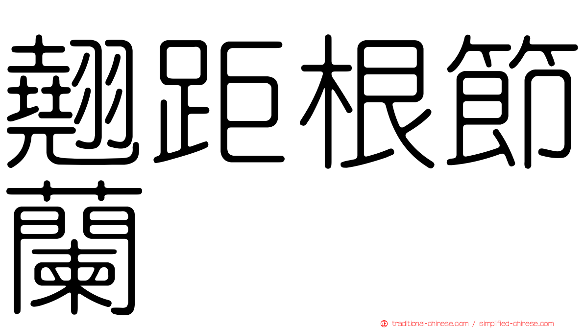 翹距根節蘭