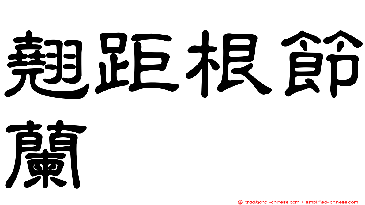 翹距根節蘭