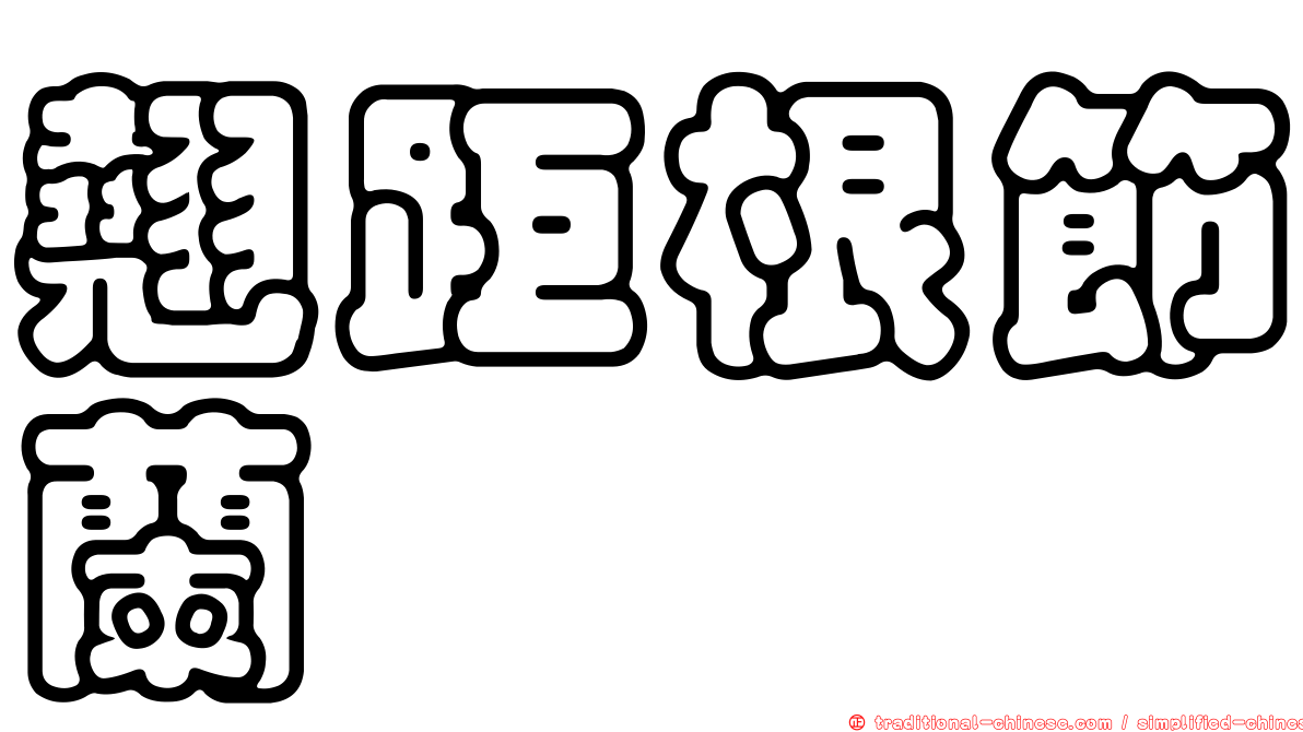 翹距根節蘭