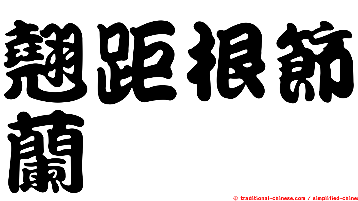 翹距根節蘭