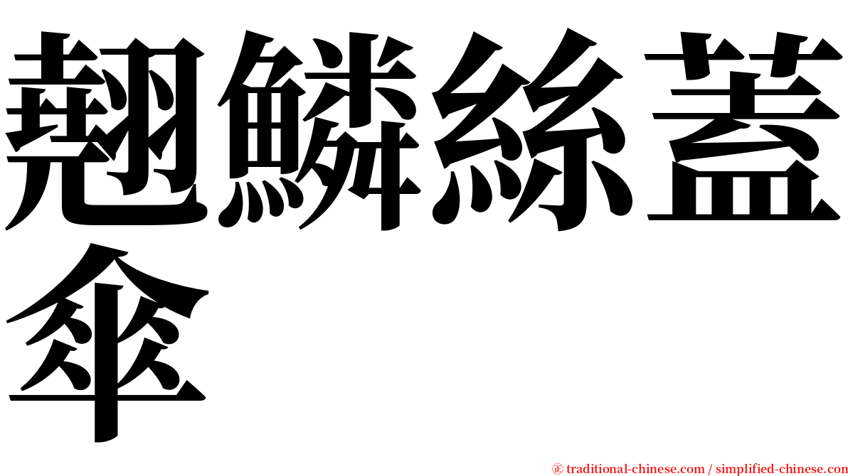 翹鱗絲蓋傘 serif font