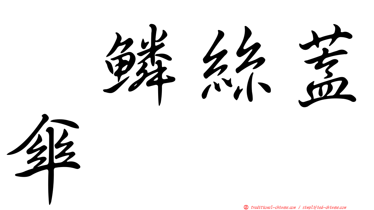 翹鱗絲蓋傘