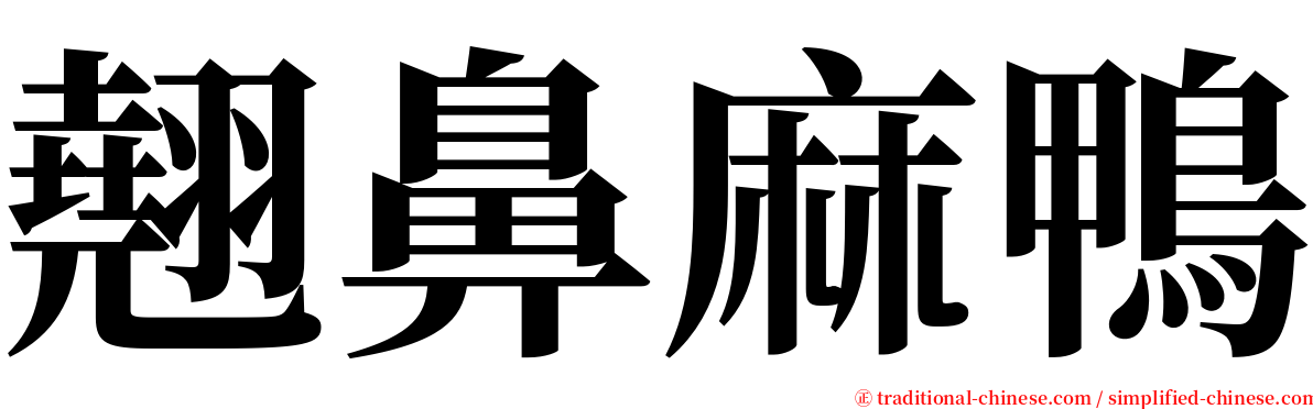 翹鼻麻鴨 serif font