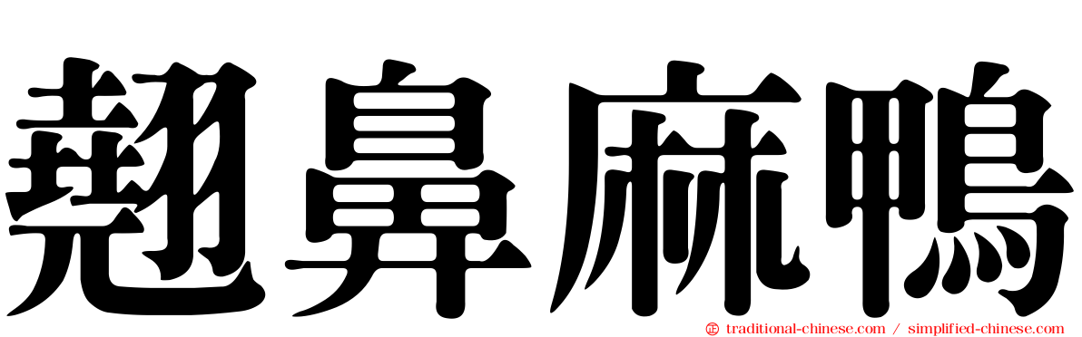 翹鼻麻鴨
