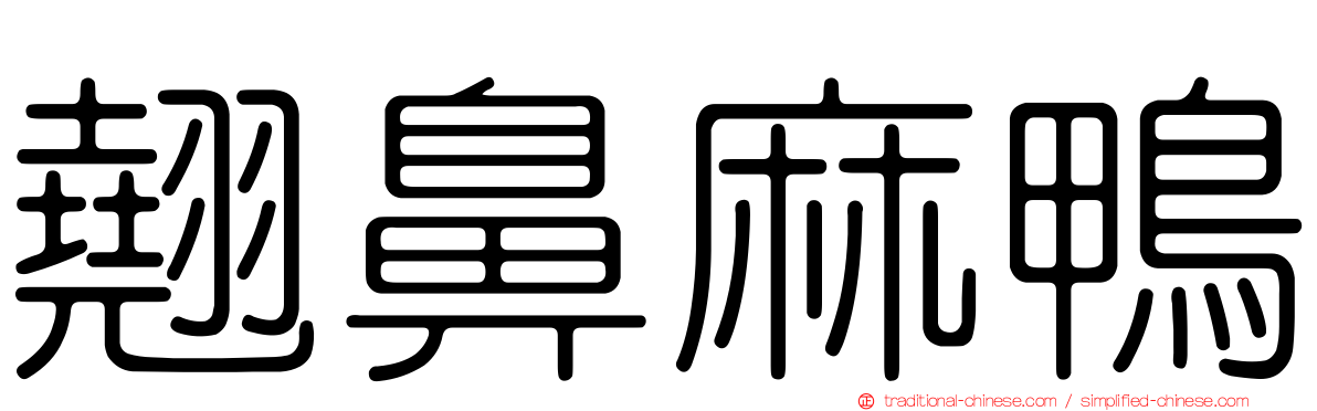 翹鼻麻鴨