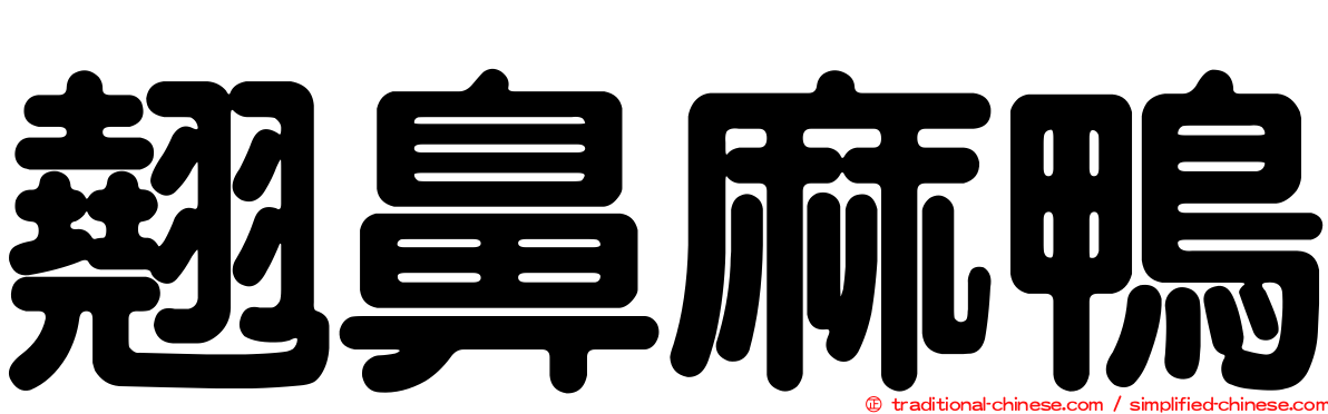 翹鼻麻鴨