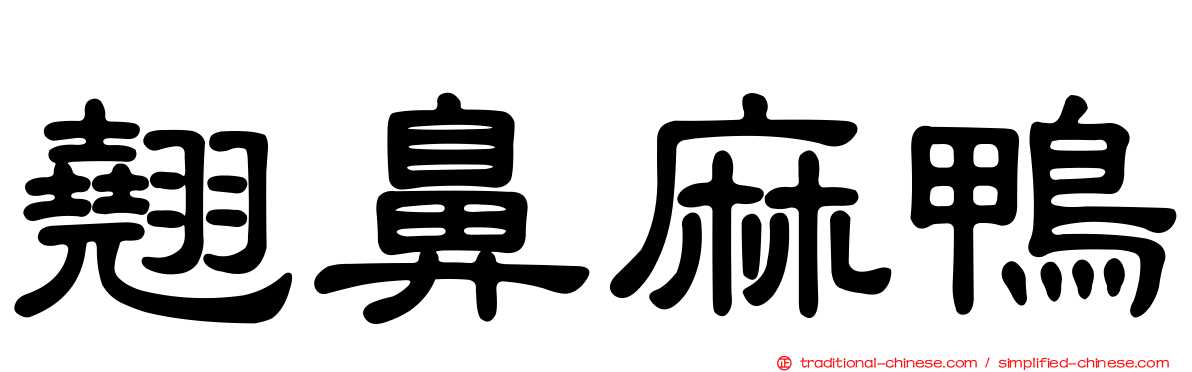 翹鼻麻鴨