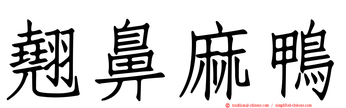 翹鼻麻鴨