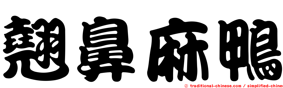 翹鼻麻鴨