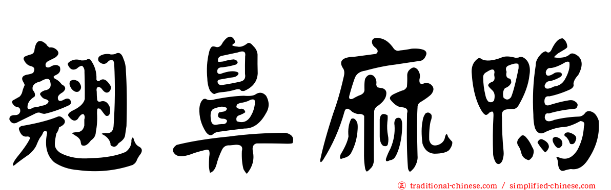 翹鼻麻鴨