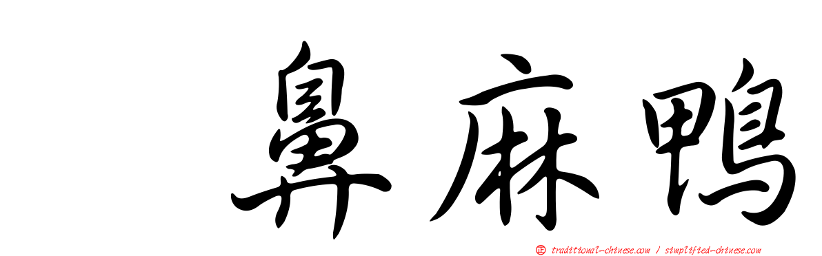 翹鼻麻鴨