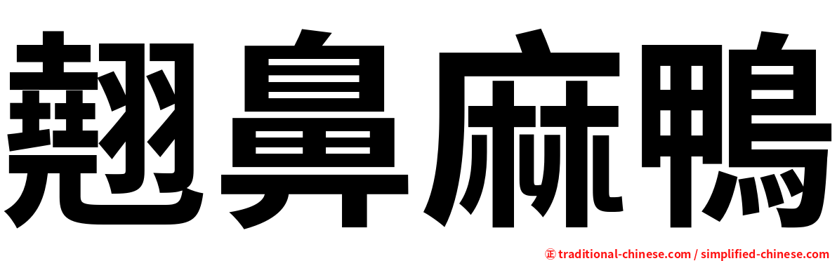 翹鼻麻鴨