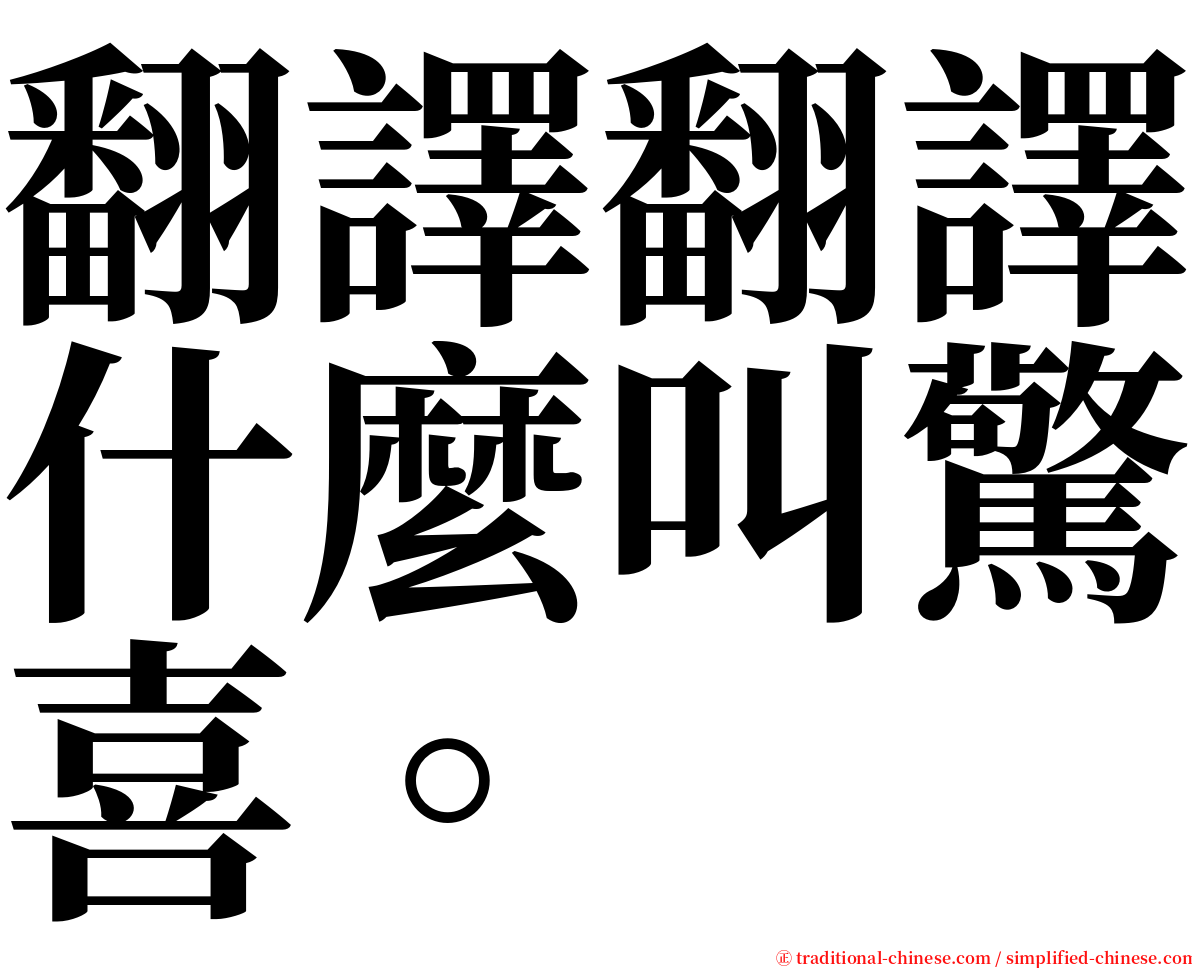 翻譯翻譯什麼叫驚喜。 serif font