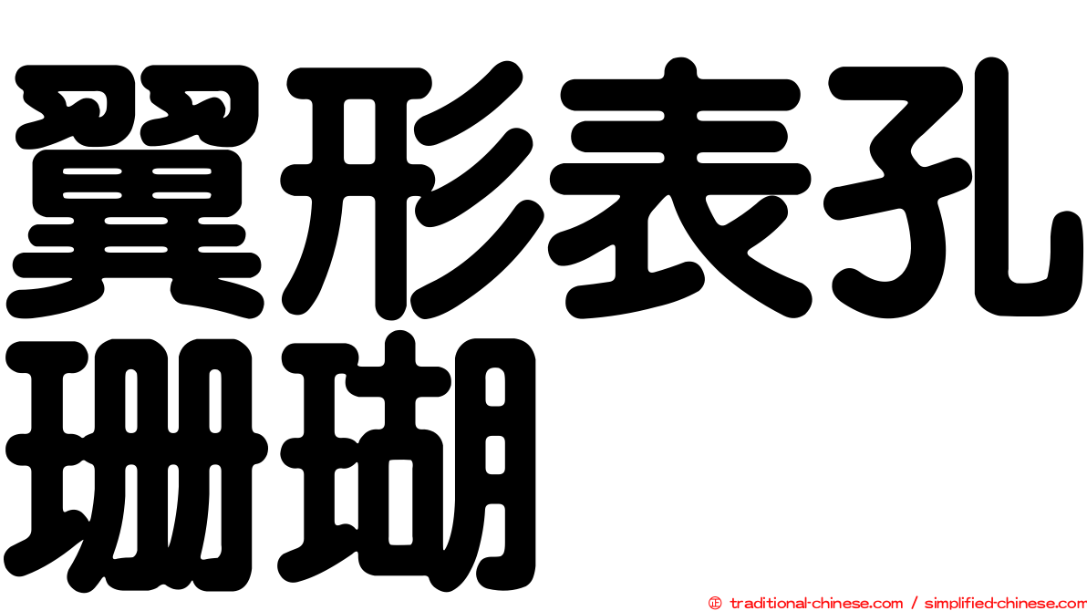 翼形表孔珊瑚