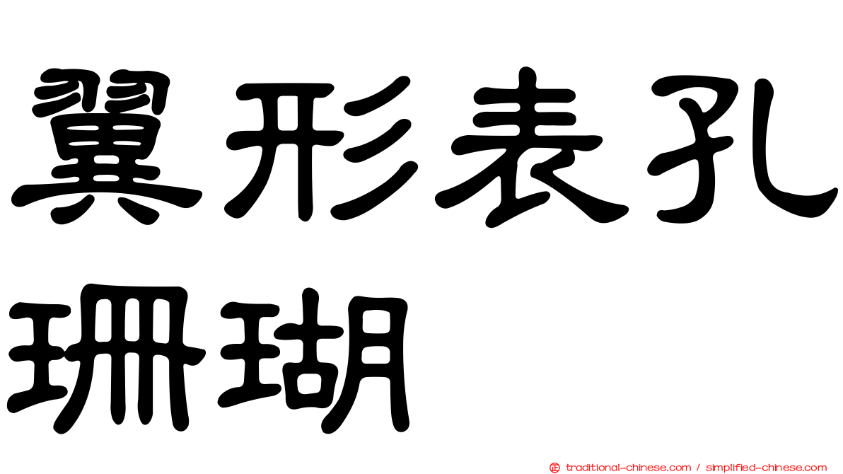 翼形表孔珊瑚