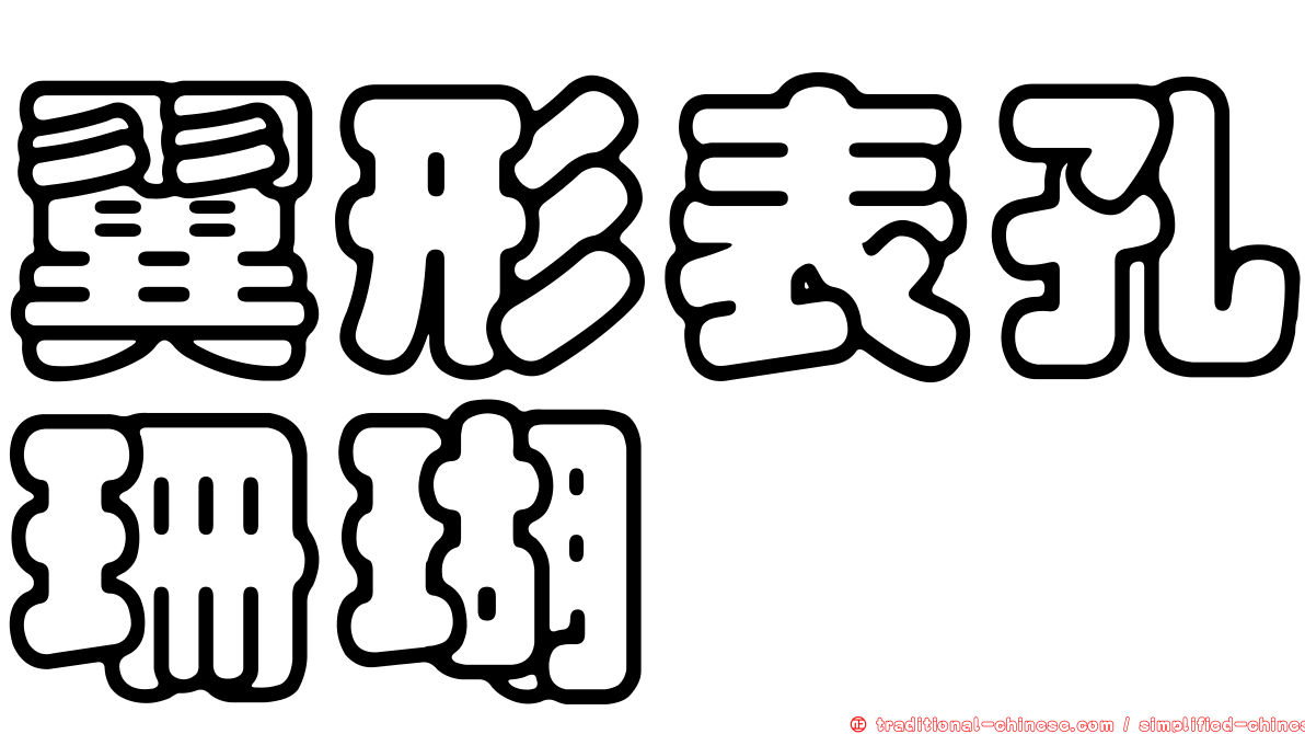 翼形表孔珊瑚