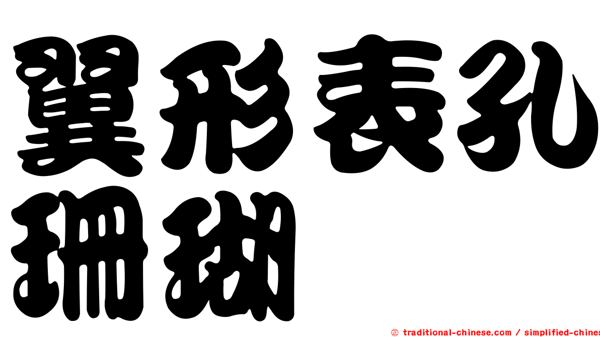 翼形表孔珊瑚