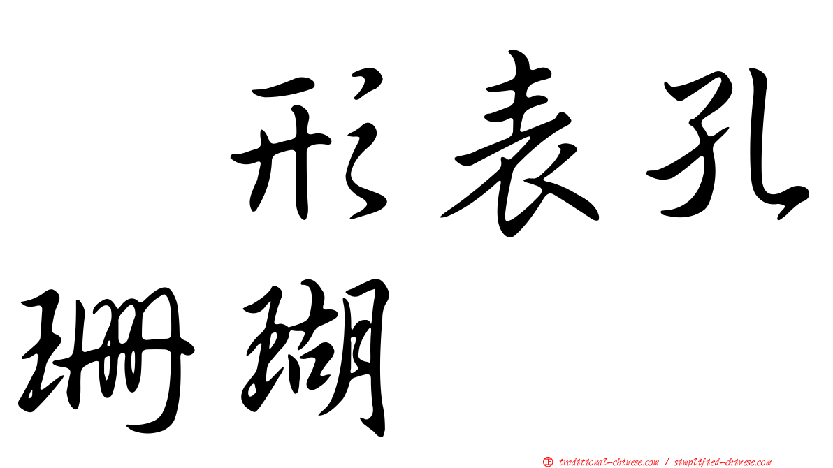 翼形表孔珊瑚