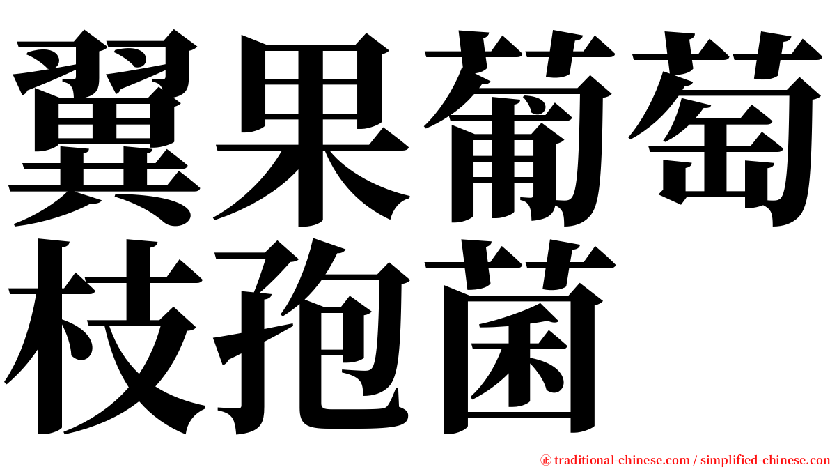 翼果葡萄枝孢菌 serif font