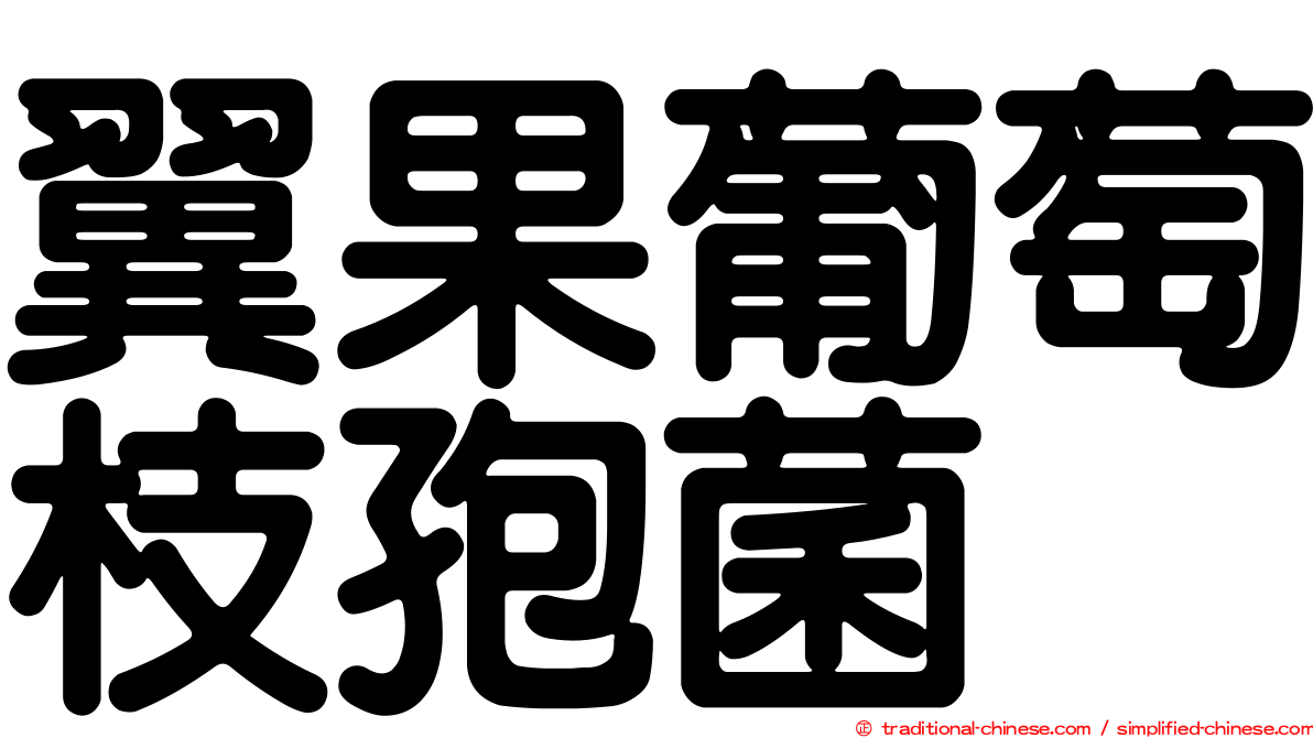 翼果葡萄枝孢菌